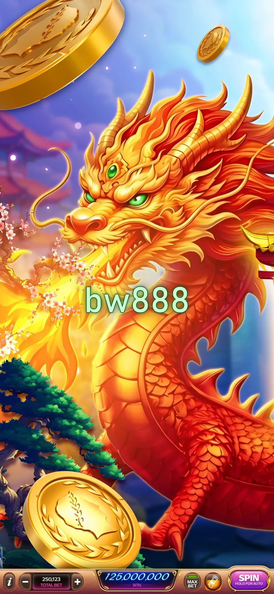 bw888 Masuk